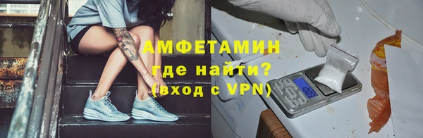 твердый Бородино