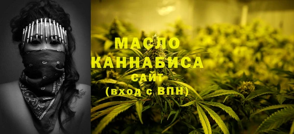твердый Бородино