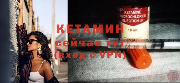 твердый Бородино