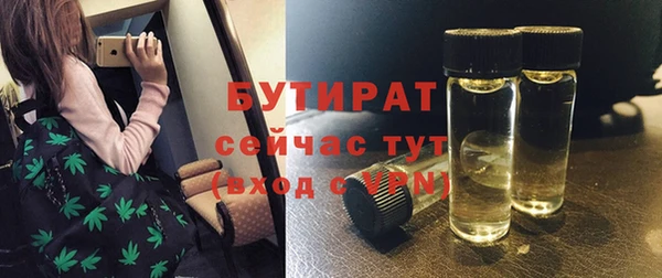 твердый Бородино