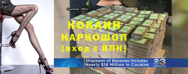 твердый Бородино