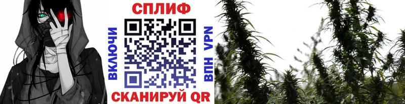 Бошки Шишки план  Отрадный 